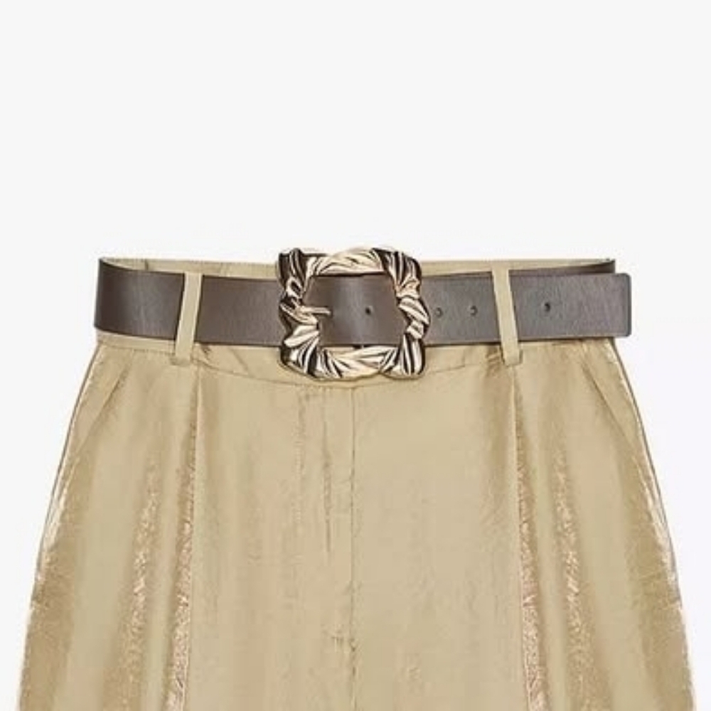 Zara Statement Gold Buckle Belt — Deep Brown. NWOT